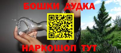 дурь Камышлов